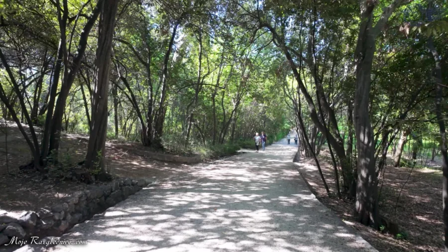 Arboretum Trsteno – Divovi na tuđoj zemlji – fotografija 12
