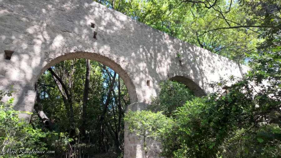 Arboretum Trsteno – Divovi na tuđoj zemlji – fotografija 15