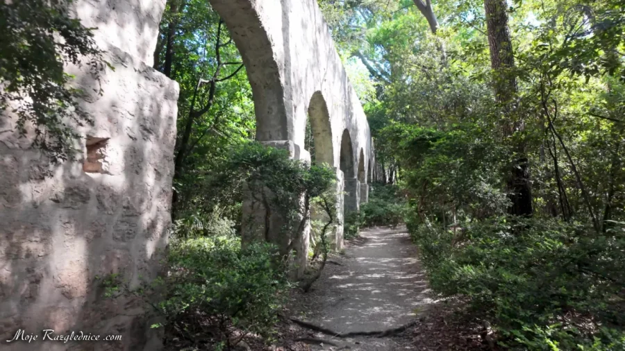 Arboretum Trsteno – Divovi na tuđoj zemlji – fotografija 16