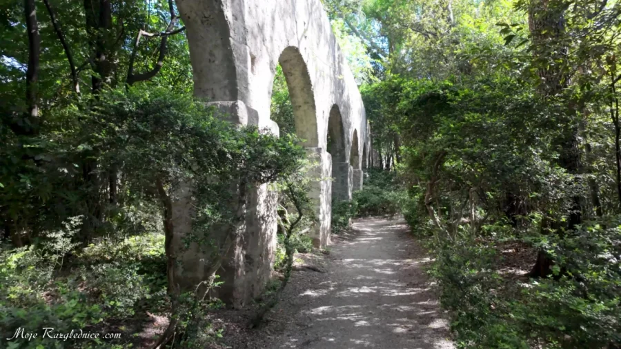 Arboretum Trsteno – Divovi na tuđoj zemlji – fotografija 17