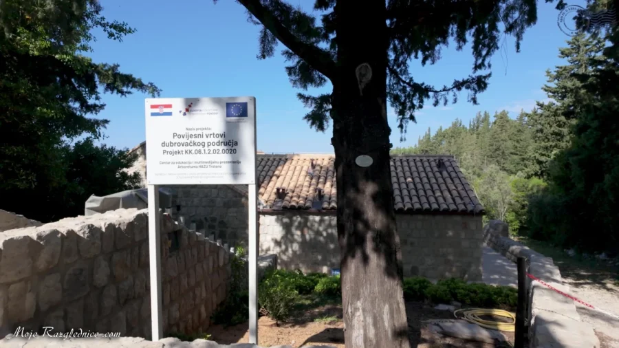 Arboretum Trsteno – Divovi na tuđoj zemlji – fotografija 31