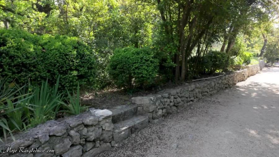 Arboretum Trsteno – Divovi na tuđoj zemlji – fotografija 32