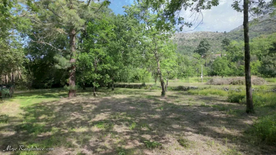 Arboretum Trsteno – Divovi na tuđoj zemlji – fotografija 34