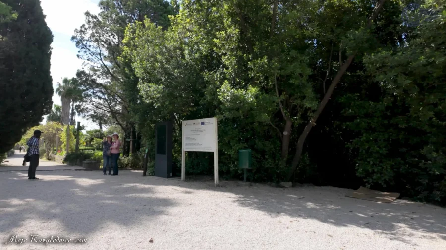 Arboretum Trsteno – Divovi na tuđoj zemlji – fotografija 39