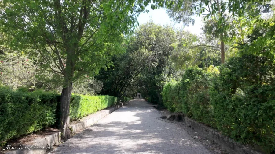 Arboretum Trsteno – Divovi na tuđoj zemlji – fotografija 42