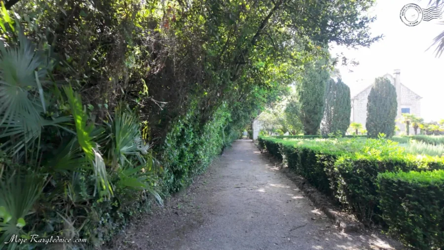 Arboretum Trsteno – Divovi na tuđoj zemlji – fotografija 43