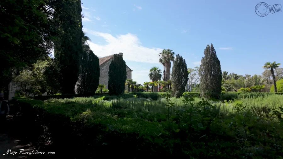 Arboretum Trsteno – Divovi na tuđoj zemlji – fotografija 44