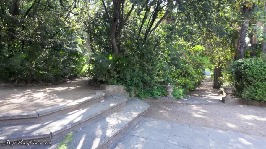 Arboretum Trsteno – Divovi na tuđoj zemlji – fotografija 45