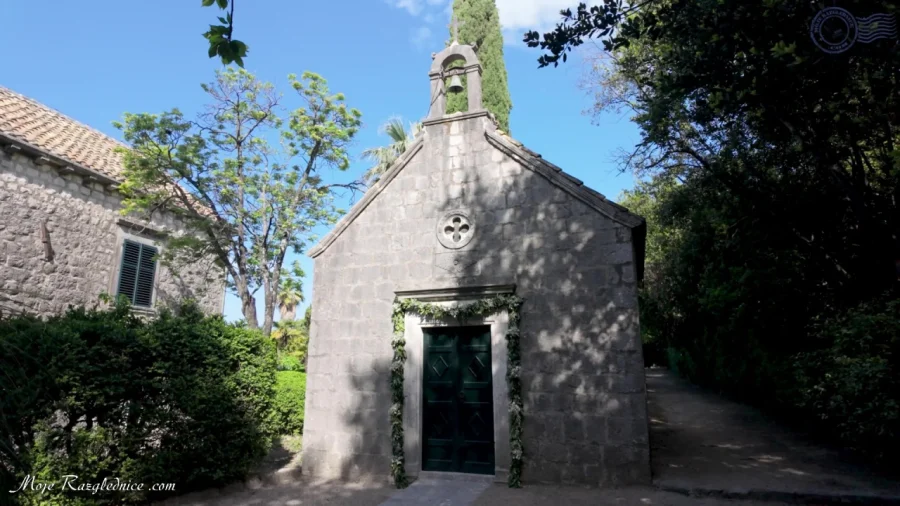 Arboretum Trsteno – Divovi na tuđoj zemlji – fotografija 46