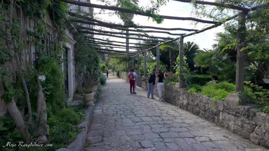 Arboretum Trsteno – Divovi na tuđoj zemlji – fotografija 51