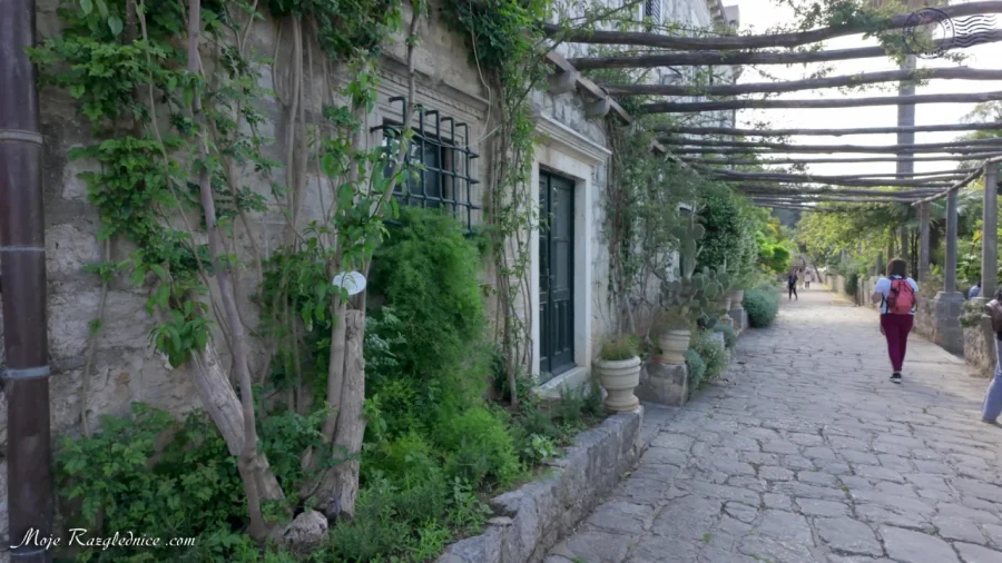 Arboretum Trsteno – Divovi na tuđoj zemlji – fotografija 52