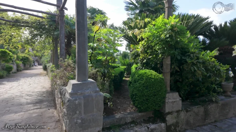Arboretum Trsteno – Divovi na tuđoj zemlji – fotografija 54