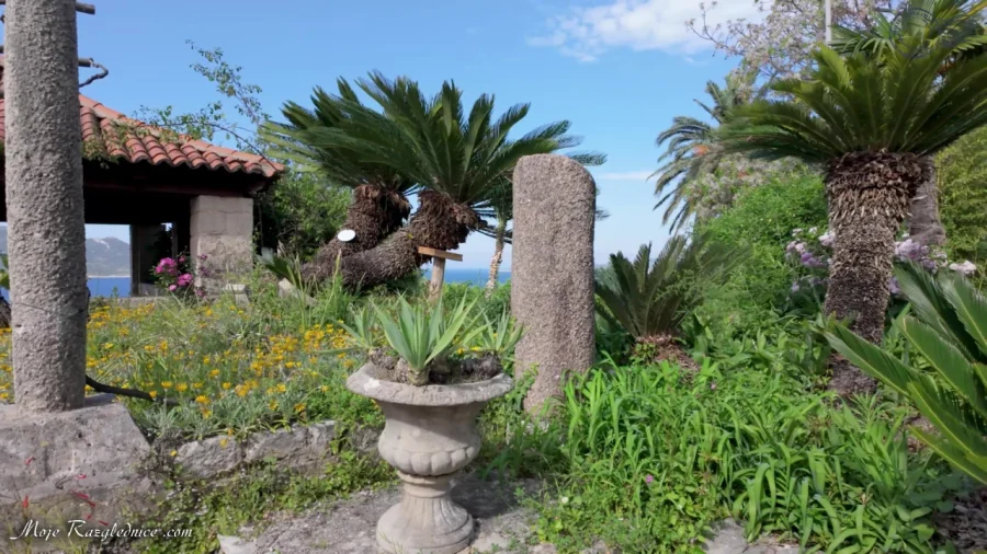 Arboretum Trsteno – Divovi na tuđoj zemlji – fotografija 58