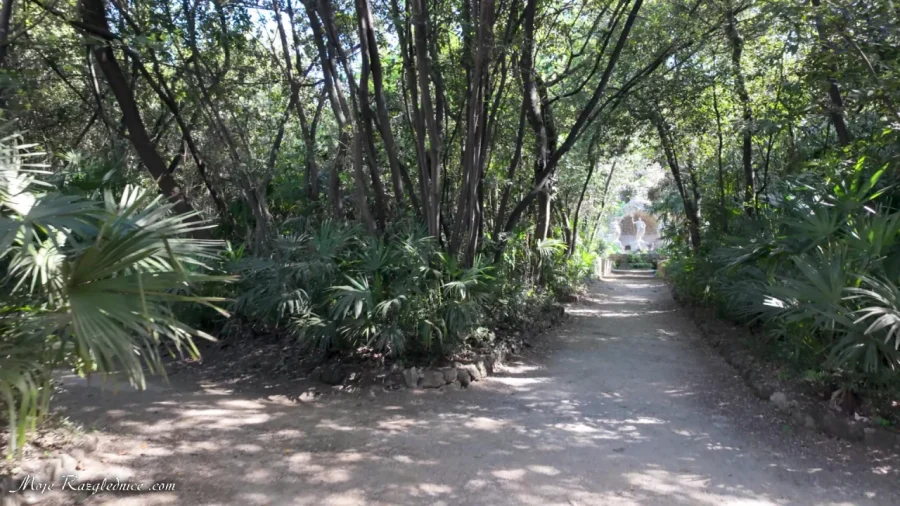 Arboretum Trsteno – Divovi na tuđoj zemlji – fotografija 78