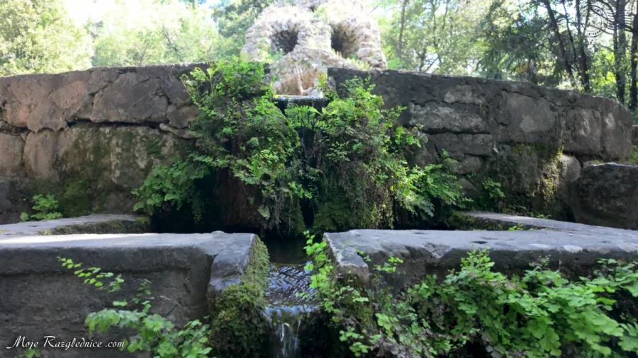 Arboretum Trsteno – Divovi na tuđoj zemlji – fotografija 84