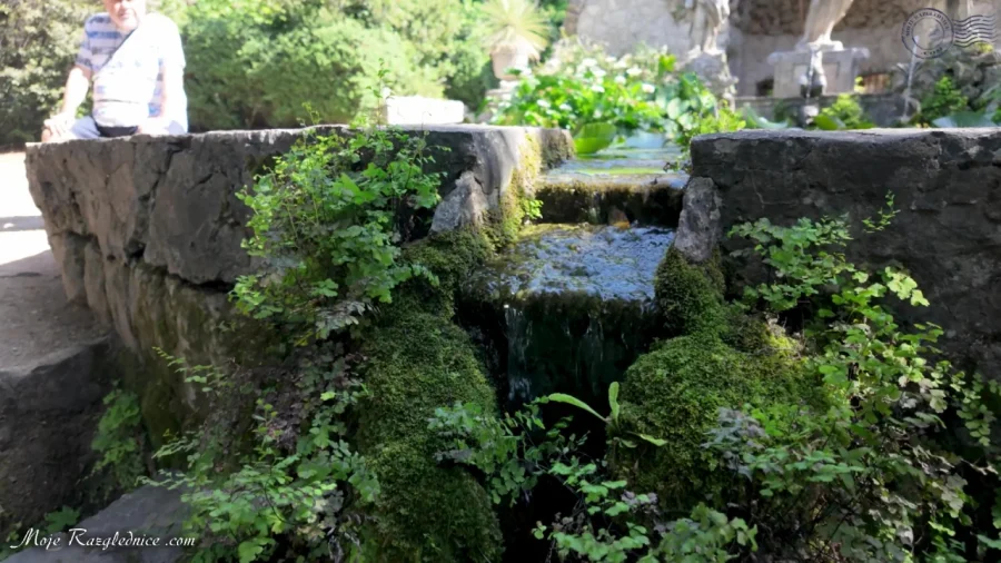 Arboretum Trsteno – Divovi na tuđoj zemlji – fotografija 86
