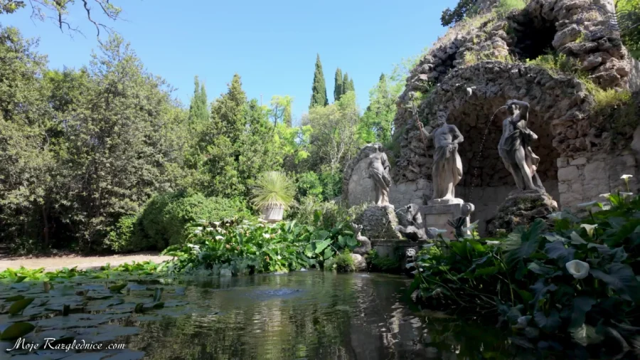 Arboretum Trsteno – Divovi na tuđoj zemlji – fotografija 87