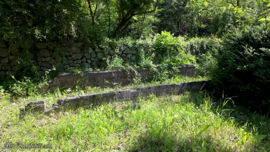 Arboretum Trsteno – Divovi na tuđoj zemlji – fotografija 97