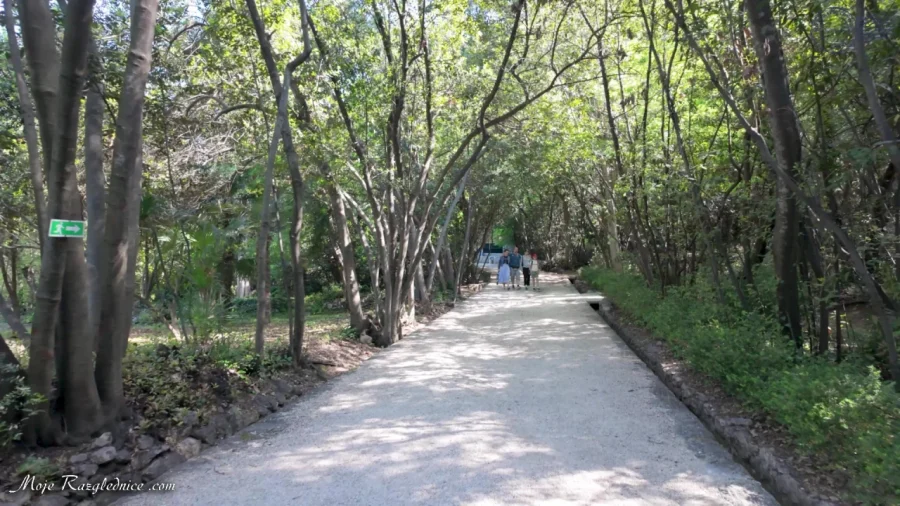 Arboretum Trsteno – Divovi na tuđoj zemlji – fotografija 99
