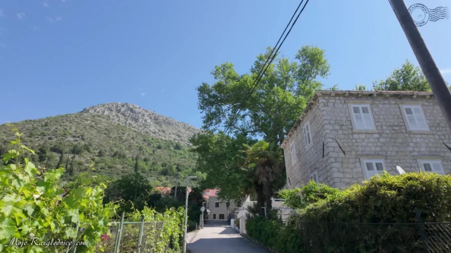 Arboretum Trsteno – Divovi na tuđoj zemlji – fotografija 100