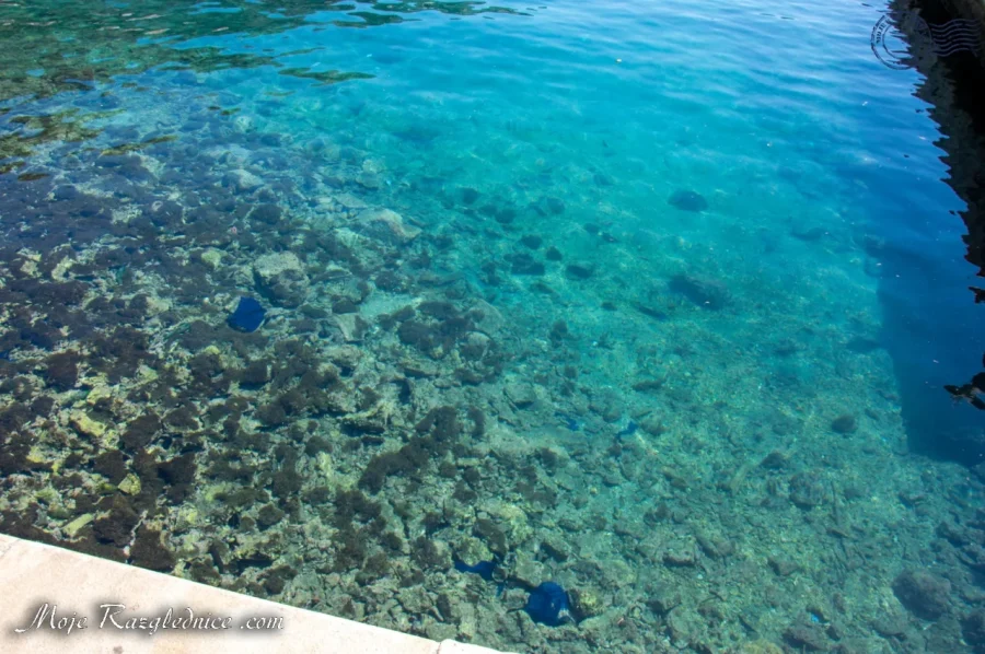 Dubrovnik – Gradske zidine: Video obilazak – fotografija 143