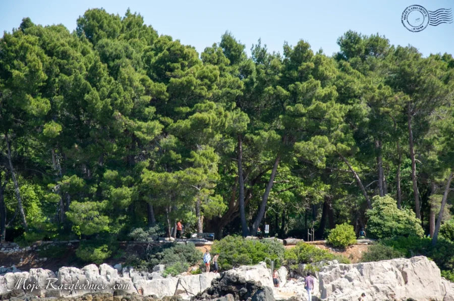 Dubrovnik – Gradske zidine: Video obilazak – fotografija 200