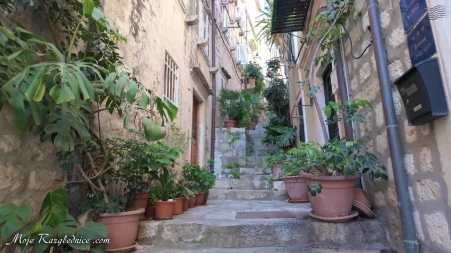 Dubrovnik – Gradske zidine: Video obilazak – fotografija 421